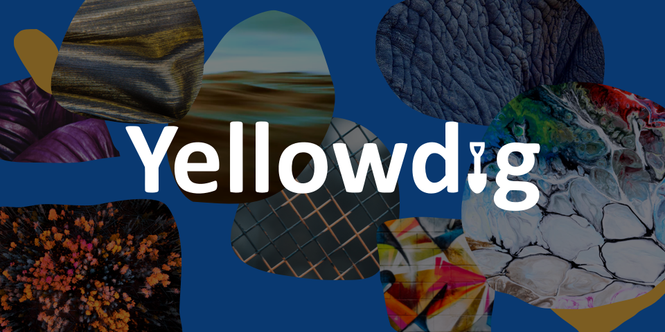 yellowdig logo
